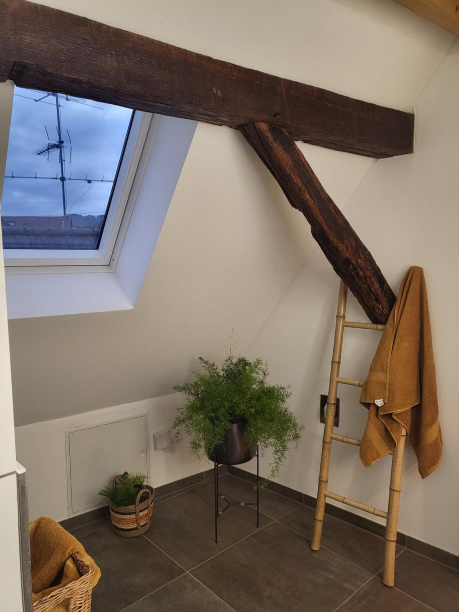 Ferienwohnung Im Rebstock Nr.1 Bahlingen  Eksteriør bilde
